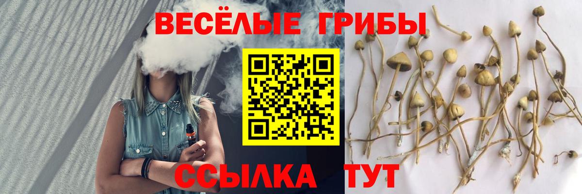 Псилоцибиновые грибы Cubensis  Вход с VPN  Можга  наркошоп  Псилоцибиновые грибы мицелий 