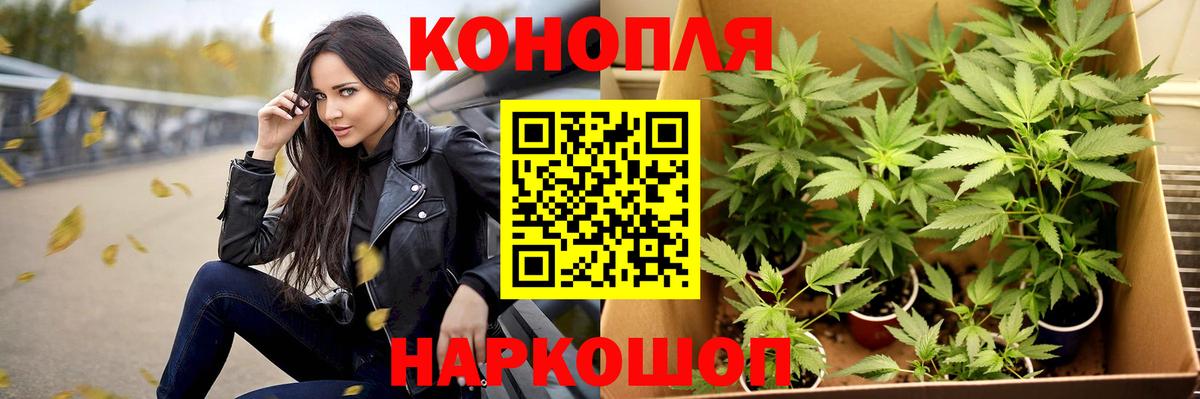Гашиш Можга